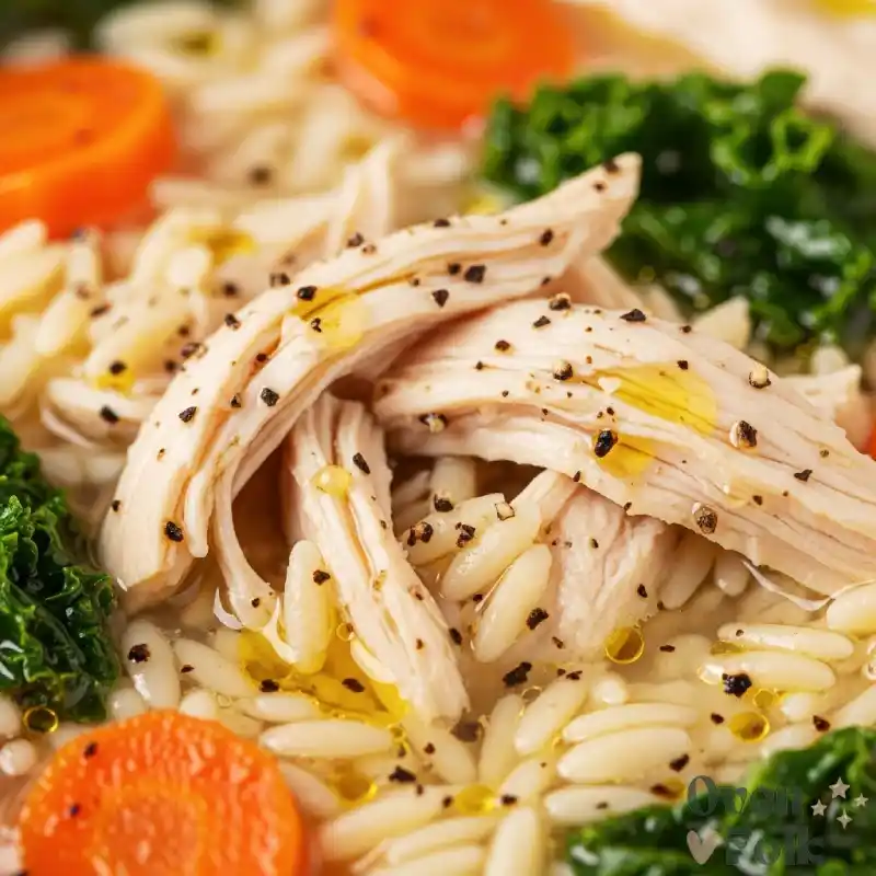 Extreme close-up macro shot of lemon chicken orzo soup showing texture of shredded chicken, pasta, and savory broth.
